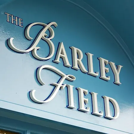 The Barley Field 3*